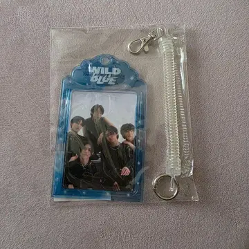 WILDBLUE 포토 카드 세트 미개봉 wildblue