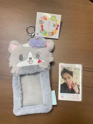 츄라라 패스케이스 & 츠루보 시온 트레이딩 카드