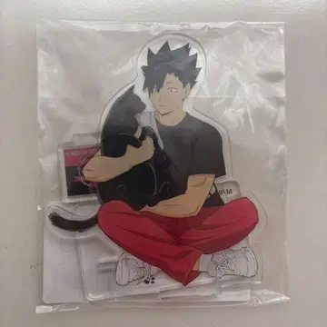 하이큐 네코부 캬라애니 아크릴 스탠드 아크스타 쿠로오 테츠로