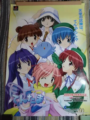 B2 포스터 천사의 알 2종