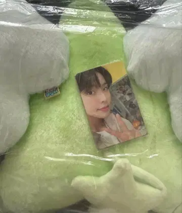 nctwish 리쿠 위츄 쿠션 wichu