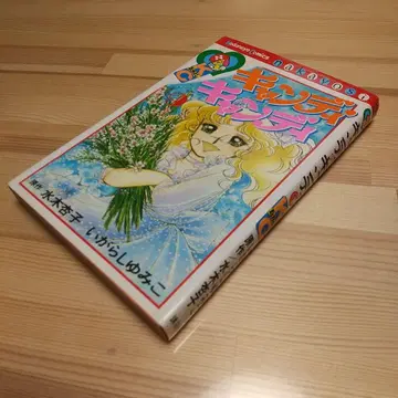 캔디캔디 9권 고품질 이가라시 유미코 미즈키 쿄코