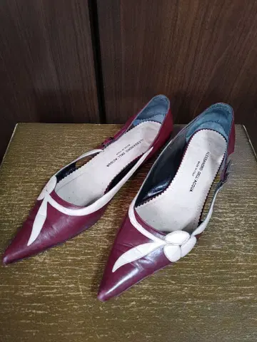 알레산드로 델라쿠아 포인티드 펌프스 35