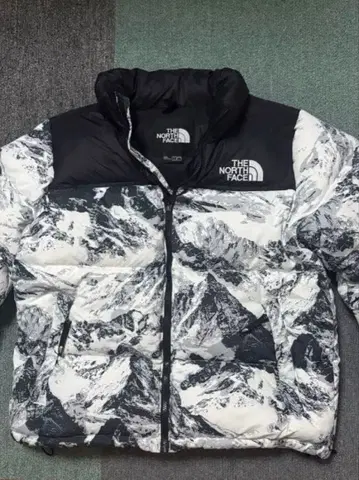 THE NORTH FACE 다운 자켓