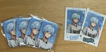 STPR Family 메테오라 라피스 캔뱃지, 폴라로이드 레어