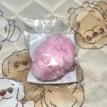 SEVENTEEN 봉봉이 도쿄 키링