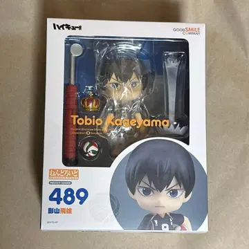 하이큐 카게야마 토비오 넨도로이드