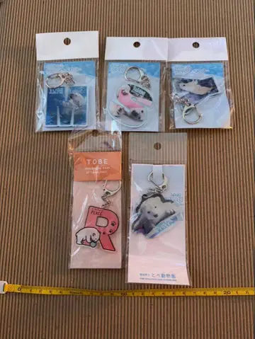 토베 동물원 북극곰 ( 시로쿠마 ) 피스 키링 5개 세트