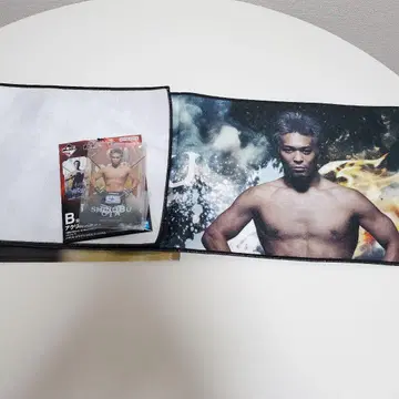 RIZIN 제일복권 B상 아크릴 스탠드 F상 응원 타월 오타 시노부