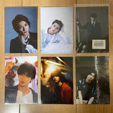 요코하마 류세이 사진 6장