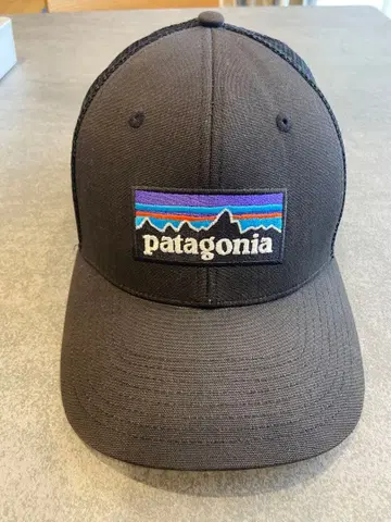 파타고니아 캡 블랙 스냅백