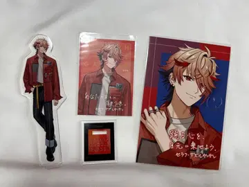 니지산지 세라프 대즐 가든 러브 라이너 세트