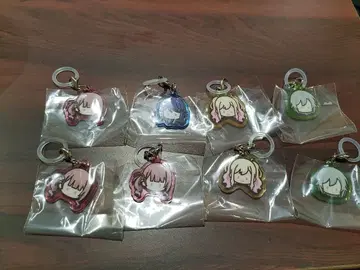 프로세카 레오니 메지루시 참