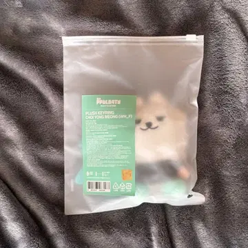 TXT 앉아 뿔바투 용몽