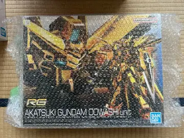 RG 아카츠키 건담