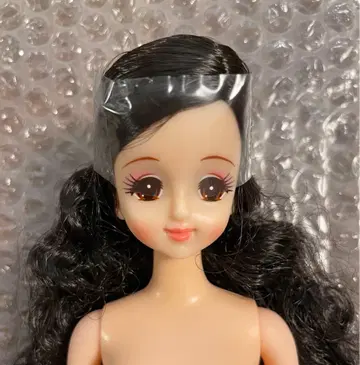 리카짱 캐슬 초대 제니 블랙 헤어 새상품급