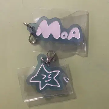 TXT 아크릴 참 범규