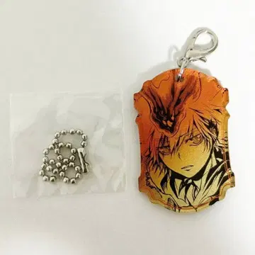 아마노 아키라 전시회 리본 사와다 츠나요시 메탈릭 아크릴 참 컬렉션