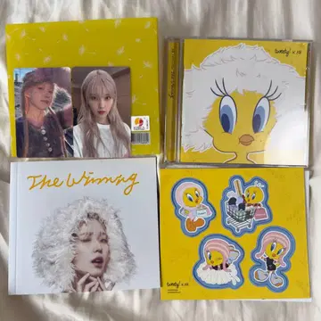 IU 앨범 The Winning 포토 카드 세트