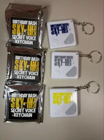 SKY-HI SKYHI 보이스 키링 벌스데이