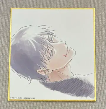 주술회전전 후시구로 토우지 미니 색지