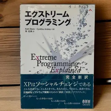 [배송비 포함] 익스트림 프로그래밍 켄트 백