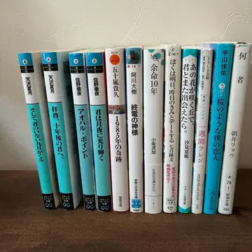 아마사와 나츠키, 사노 테츠야 등 소설 단행본 12권 세트