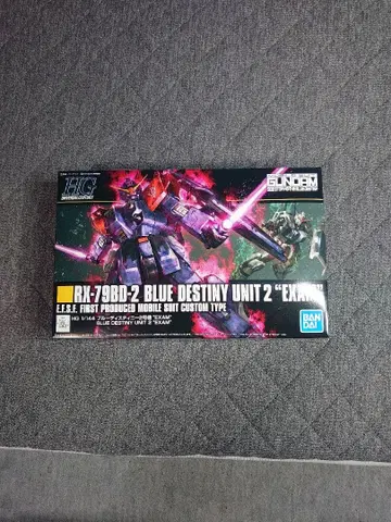 HG 블루 디스티니 2호기