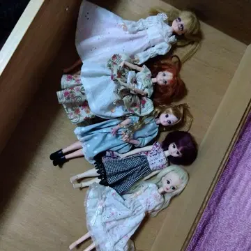 리카짱 인형 5체 세트