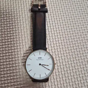 Daniel Wellington 손목시계 아날로그
