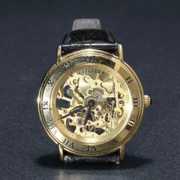 손목시계 시티즌 수동 와인딩 남성용 8234-824121K R16401