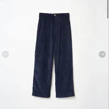 SHISHIKUI Painter C / CORDUROY NAVY 36