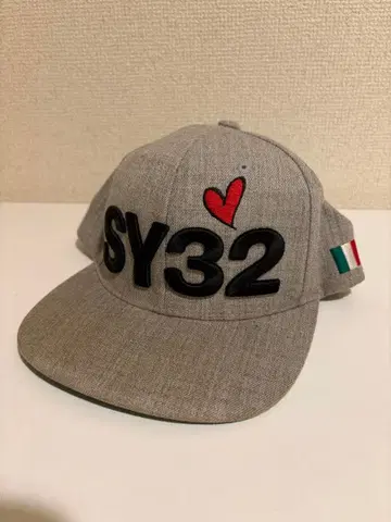SY32 그레이 캡