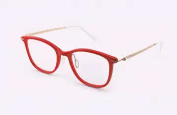 안경 프레임 Y CONCEPT: 와이 컨셉 TT424 MAKI