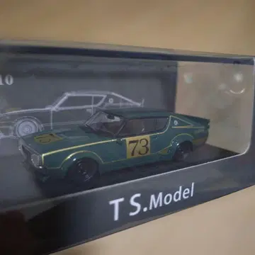 T.S.Model KPCG110 73 1/64