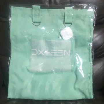 DXTEEN 토트백 GiGO 한정판