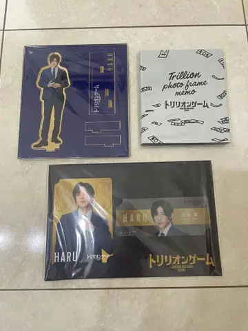 HARU 메모장 클리어 파일 세트 아크릴 스탠드 트리리온 게임 메구로 렌