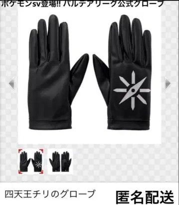 포켓몬 센터 한정판 팔데아 사천왕 칠리의 그로브