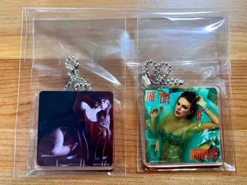 테일러 스위프트 키링 2개 세트