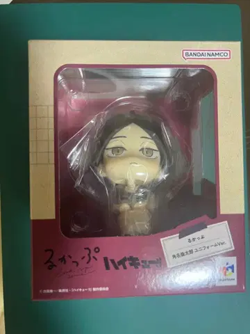 스미나 린타로 룩업