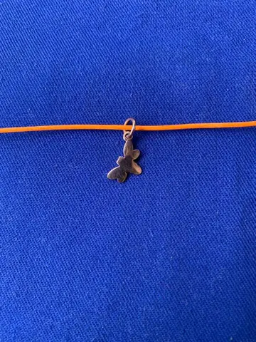 포메라토 Dodo 참 벌 RG