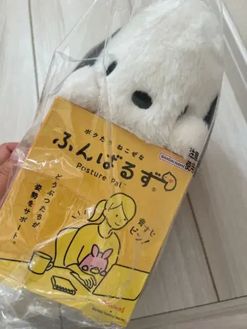 산리오 포차코 펀바루즈 자세 교정