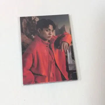 트라자 Road to A 혜택 트레이딩 카드