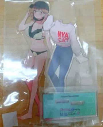 아이돌 그만두지만 결혼해 줄래요!? 2권 옷 갈아입기 아크릴 스탠드