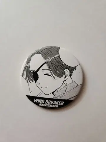 윈드 브레이커 윈브레전 스오우 준히 원작 코마 캔뱃지