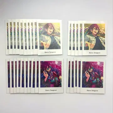 앙스타 사에구사 이바라 파샤츠 vol.5