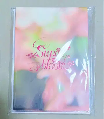 스타포니 팜플렛