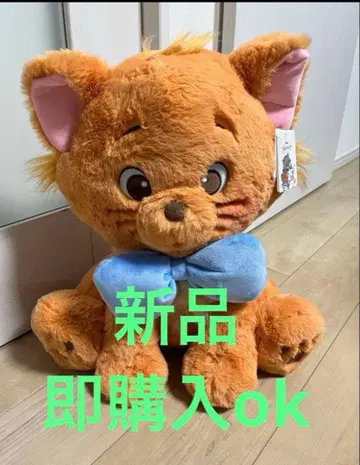 새상품 코스트코 툴루즈 봉제 인형 담요 포함, 멋진 캣