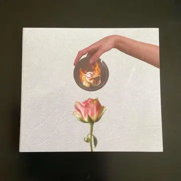 Stain The Canvas All Fine / eniF llA CD