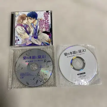 사랑의 본능을 따르라!